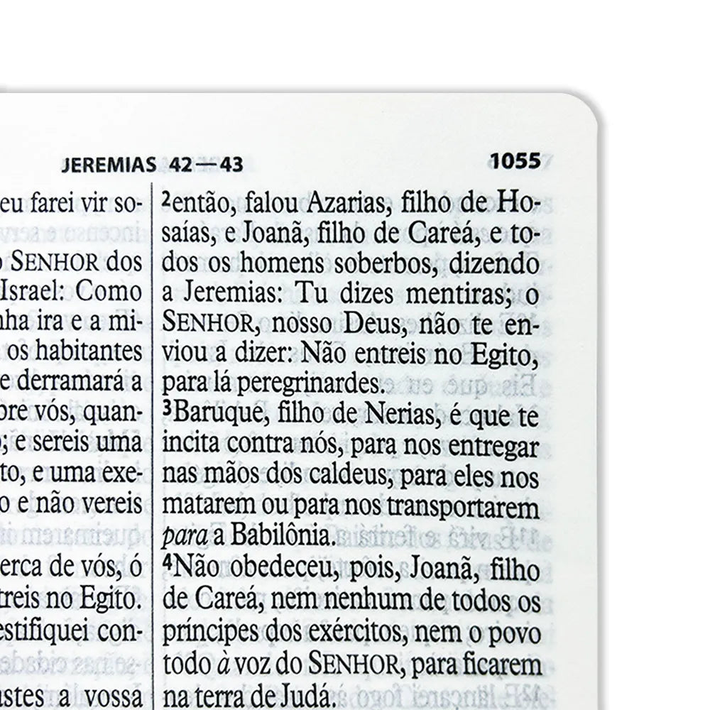 Bíblia Sagrada com Harpa Cristã - Letra Gigante