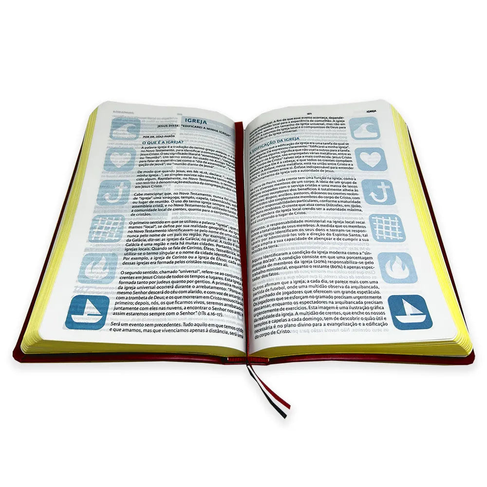 BIBLIA DO PESCADOR DE ALMAS ARC- MEDIA VINHO