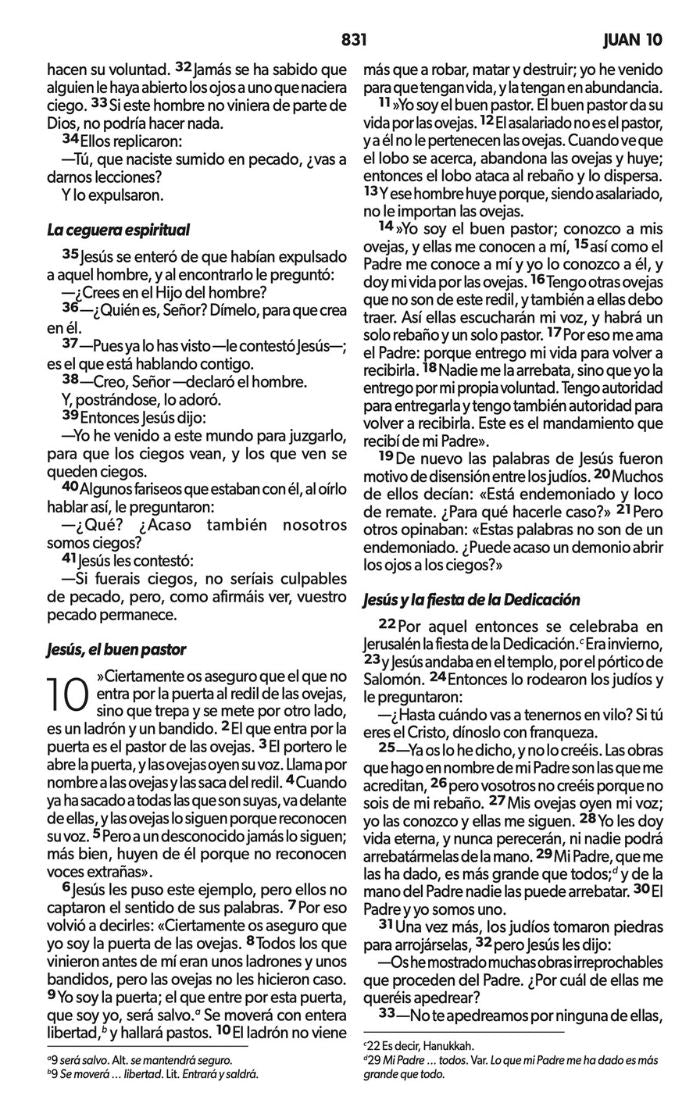 NVI Peninsular LG Pocket Bible in the Spring Missionary Edition