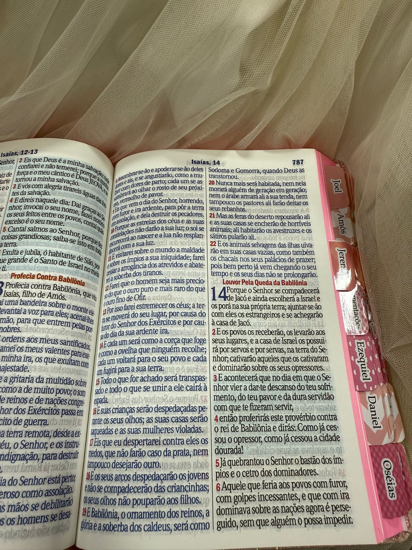 BIBLIA GLITTER LEAO YESHUA ABAS COLADAS