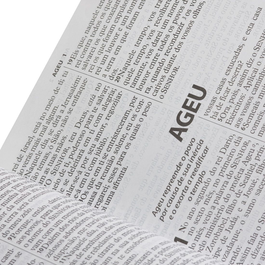 Bíblia Letra Extragigante c/ Letras Vermelhas