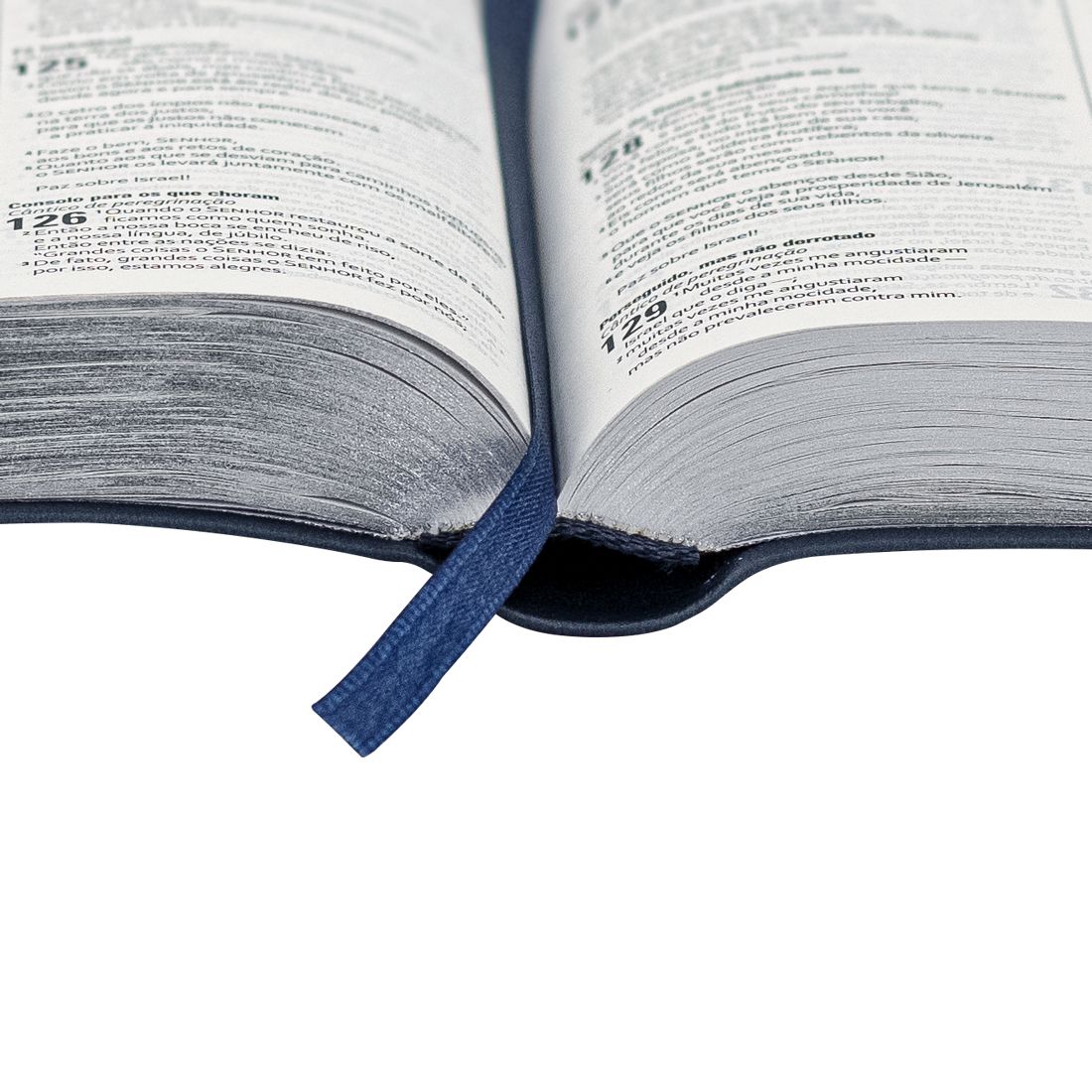 Portuguese (NAA) - English (ESV) Bilingual Bible - Dark Blue