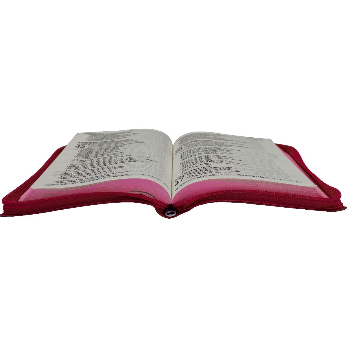 Gold Line Bible Jesus ARC Large Letter with Pink Clasp