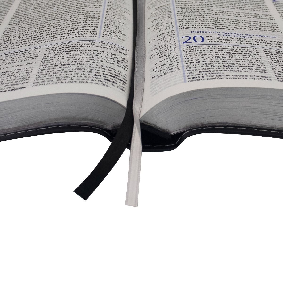 BIBLIA DE ESTUDO PLENITUDE- CINZA