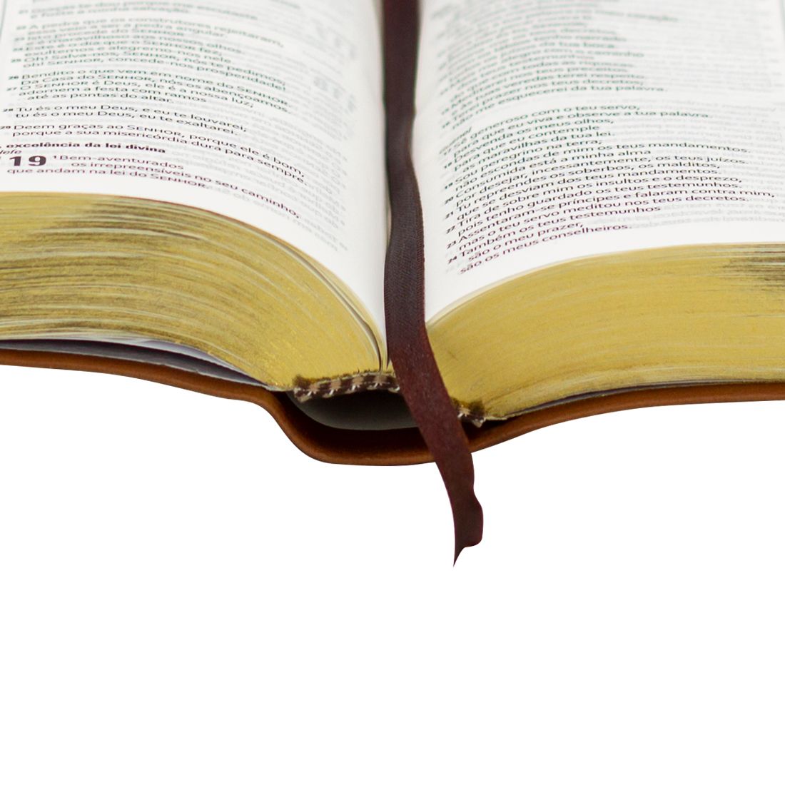 Portuguese (NAA) - English (ESV) Bilingual Bible - Brown