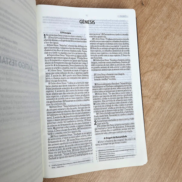 BÍBLIA SAGRADA SLIM | NVI | LETRA NORMAL | CAPA LUXO VINHO