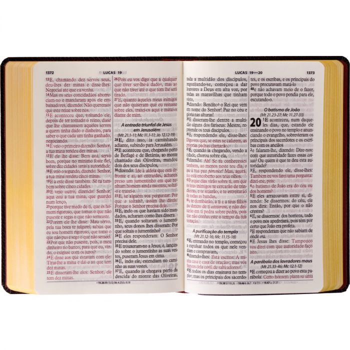 Bíblia Grande Harpa Cristã Popular Letra Gigante Floral Preta (CPAD)