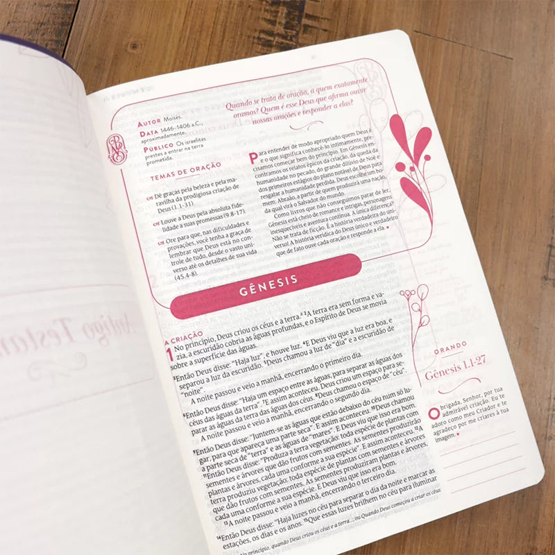 BIBLIA DA MULHER QUE ORA EXPANDIDA