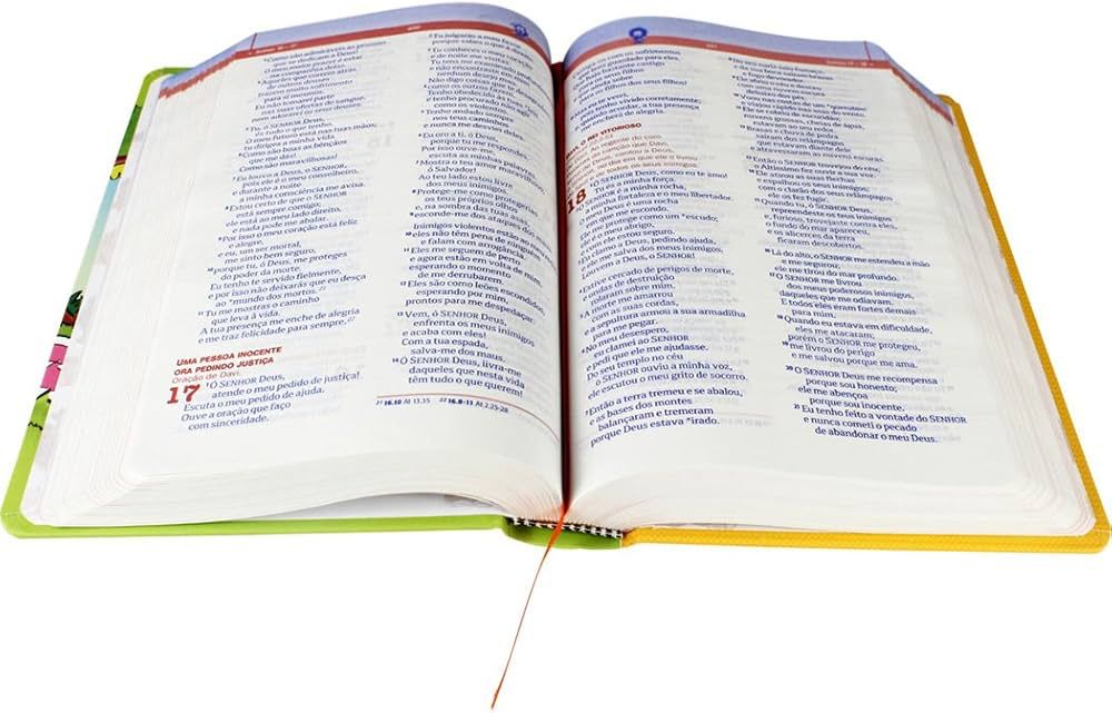 Bíblia Explicada para Crianças - Mig e Meg