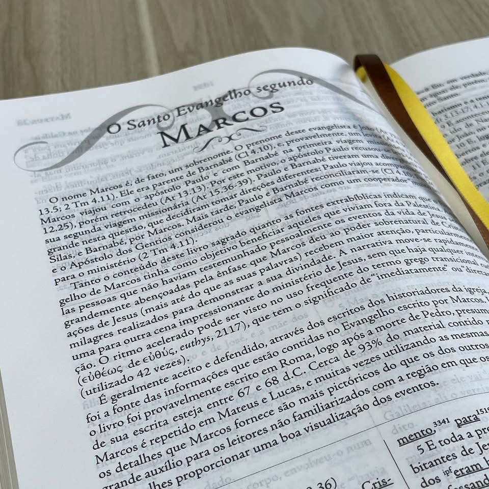 BÍBLIA DE ESTUDO PALAVRAS - CHAVE MARROM