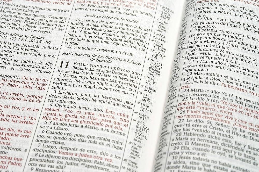 RVR 1960 Biblia de Estudio Scofield