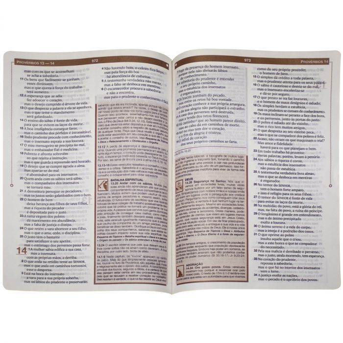 BIBLIA DE ESTUDO ESQUEMATIZADO RA- CASTANHO