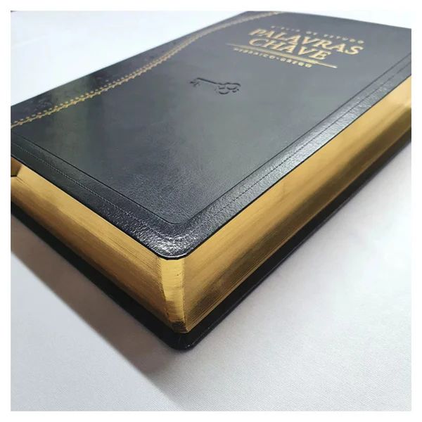 BÍBLIA DE ESTUDO PALAVRAS - CHAVE PRETA