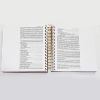 BÍBLIA BUQUE FÉ ILUSTRADA NVT