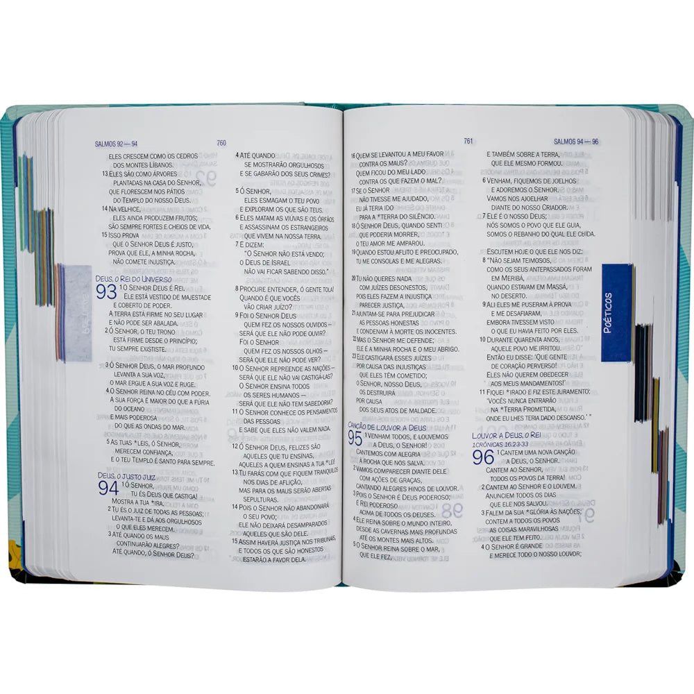 BIBLIA DA TURMA- NTLH