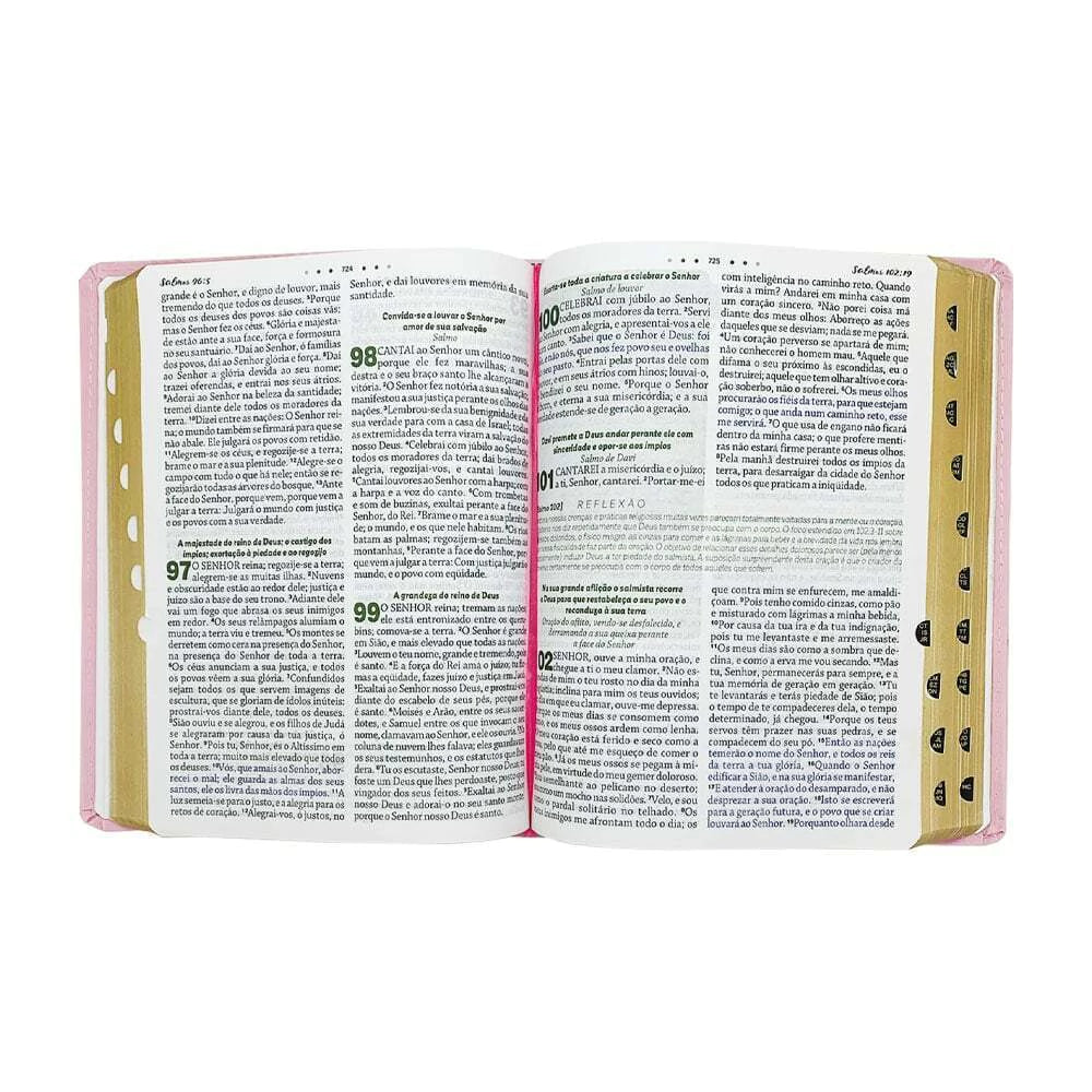 BÍBLIA DE ESTUDO DA MULHER DE DEUS LETRA GRANDE ROSA