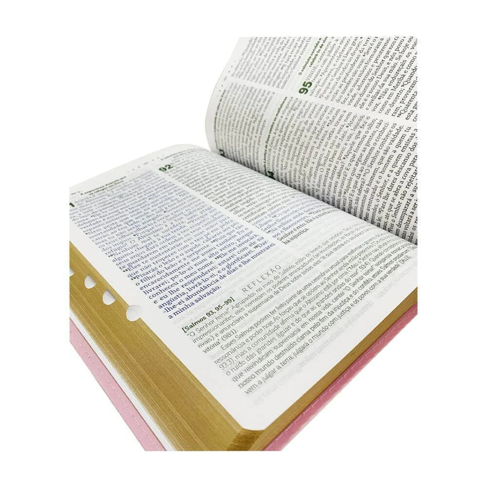 BÍBLIA DE ESTUDO DA MULHER DE DEUS LETRA GRANDE ROSA