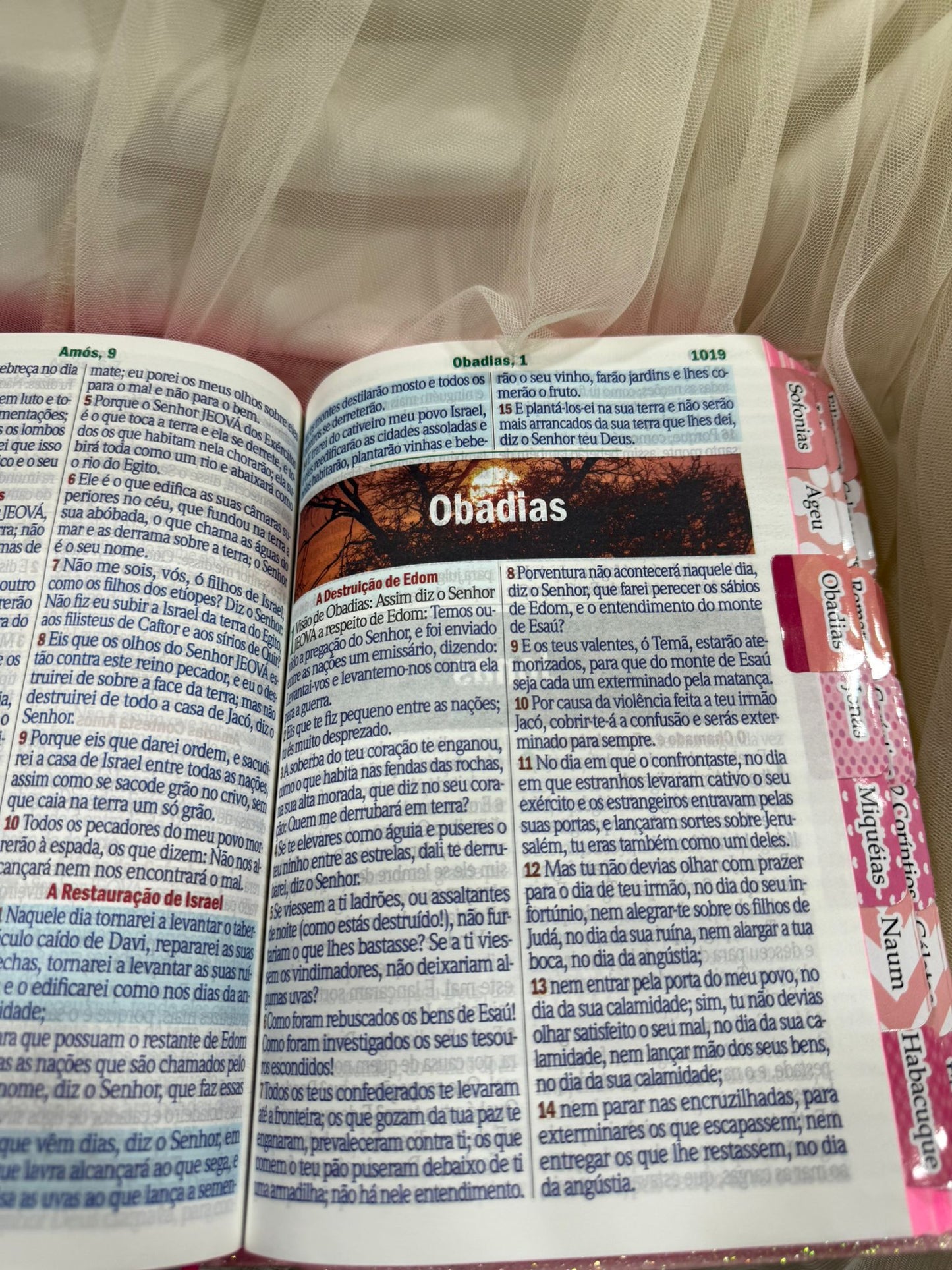 BIBLIA GLITER LEAO DEUS PAI COM ABAS COLADAS