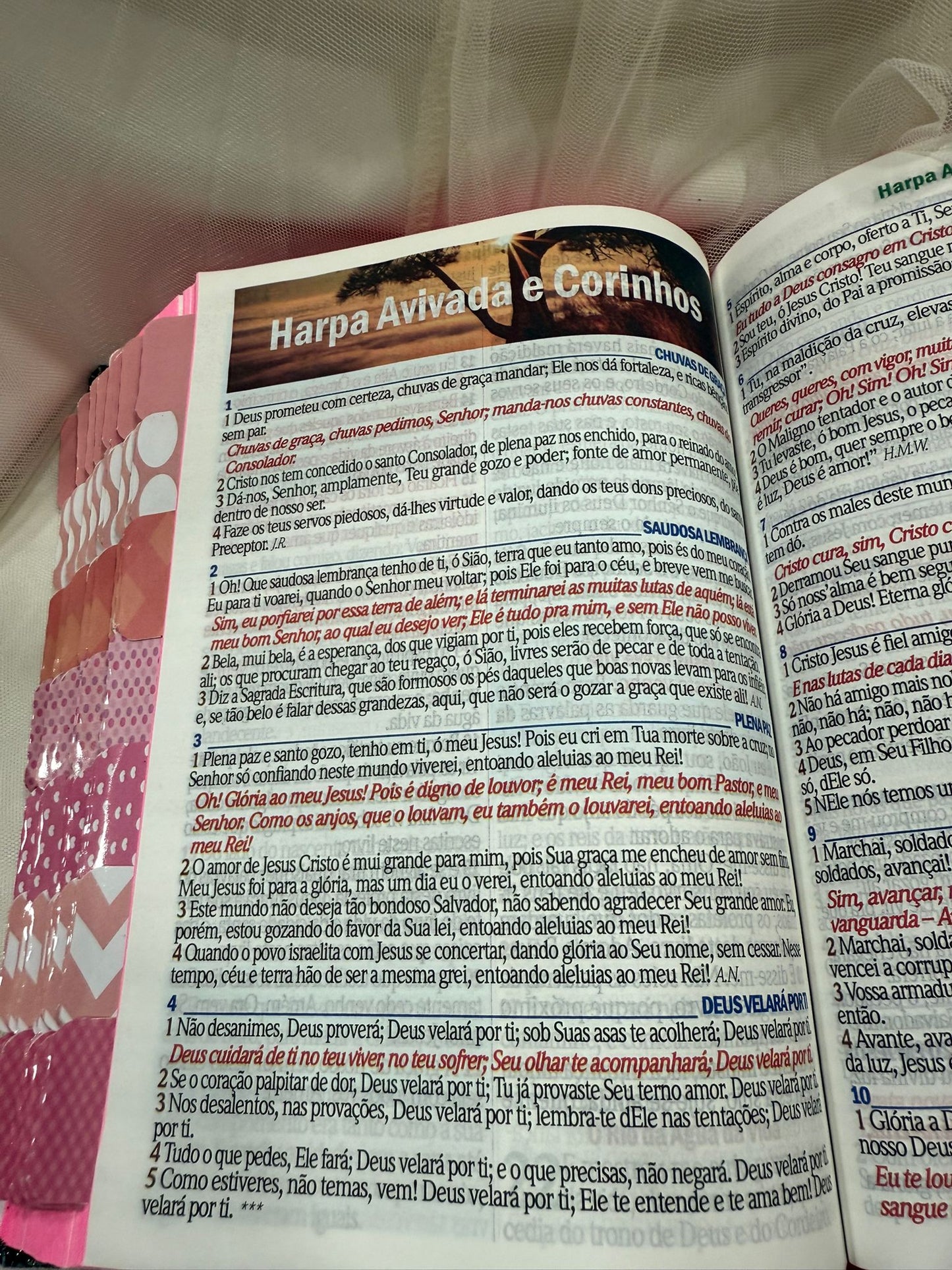 BIBLIA GLITER LEAO DEUS PAI COM ABAS COLADAS