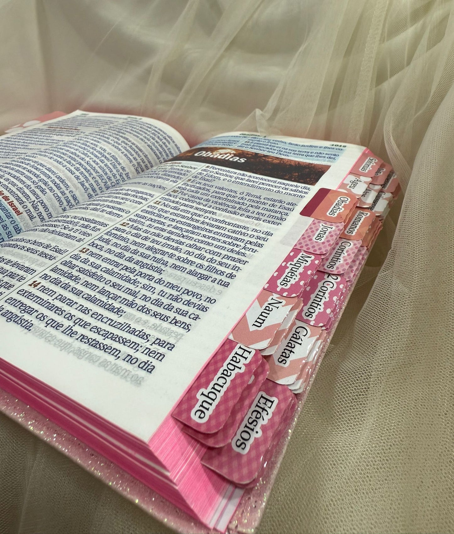 BIBLIA GLITER LEAO DEUS PAI COM ABAS COLADAS