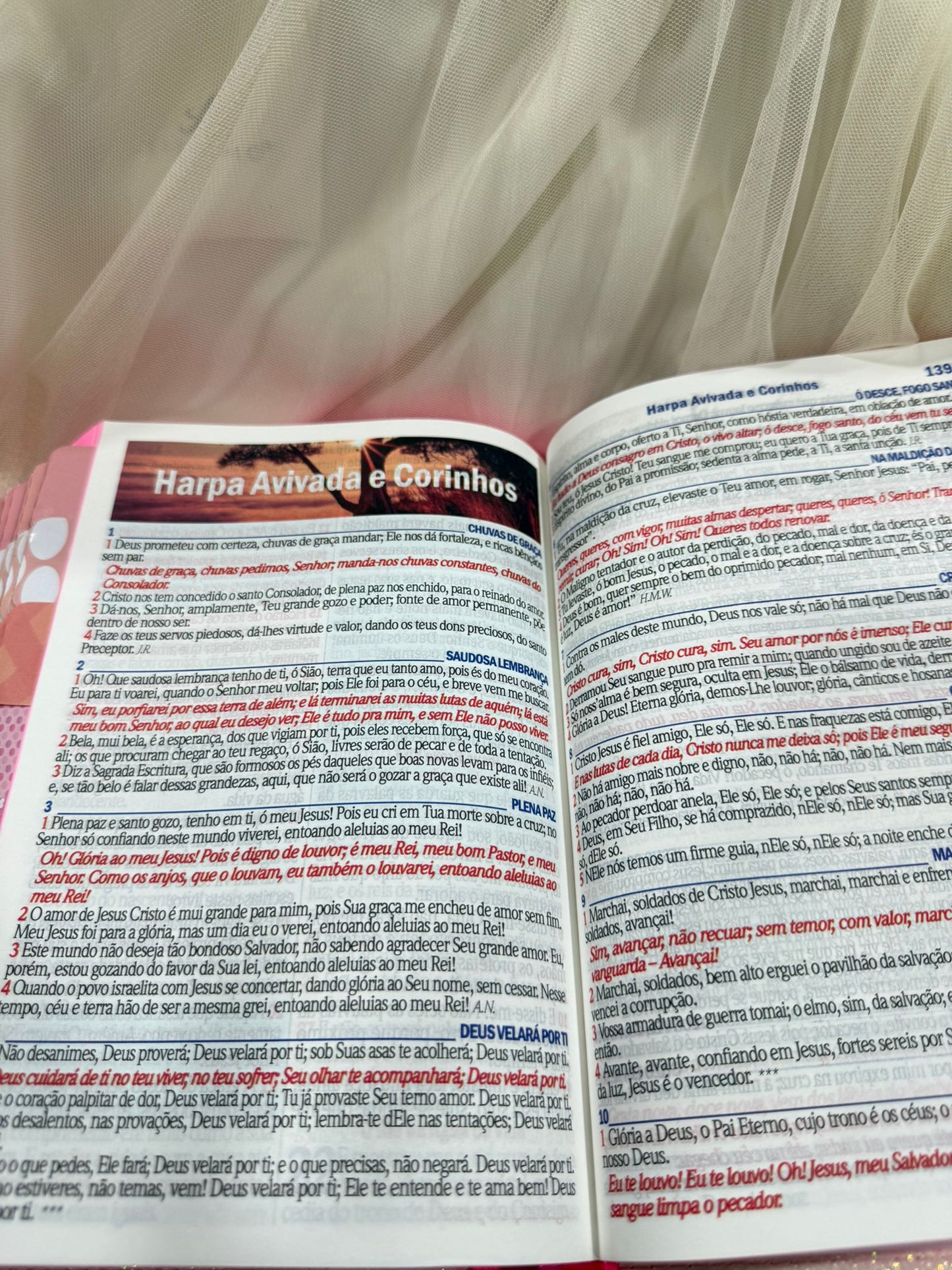 BIBLIA GLITTER LEAO YESHUA ABAS COLADAS