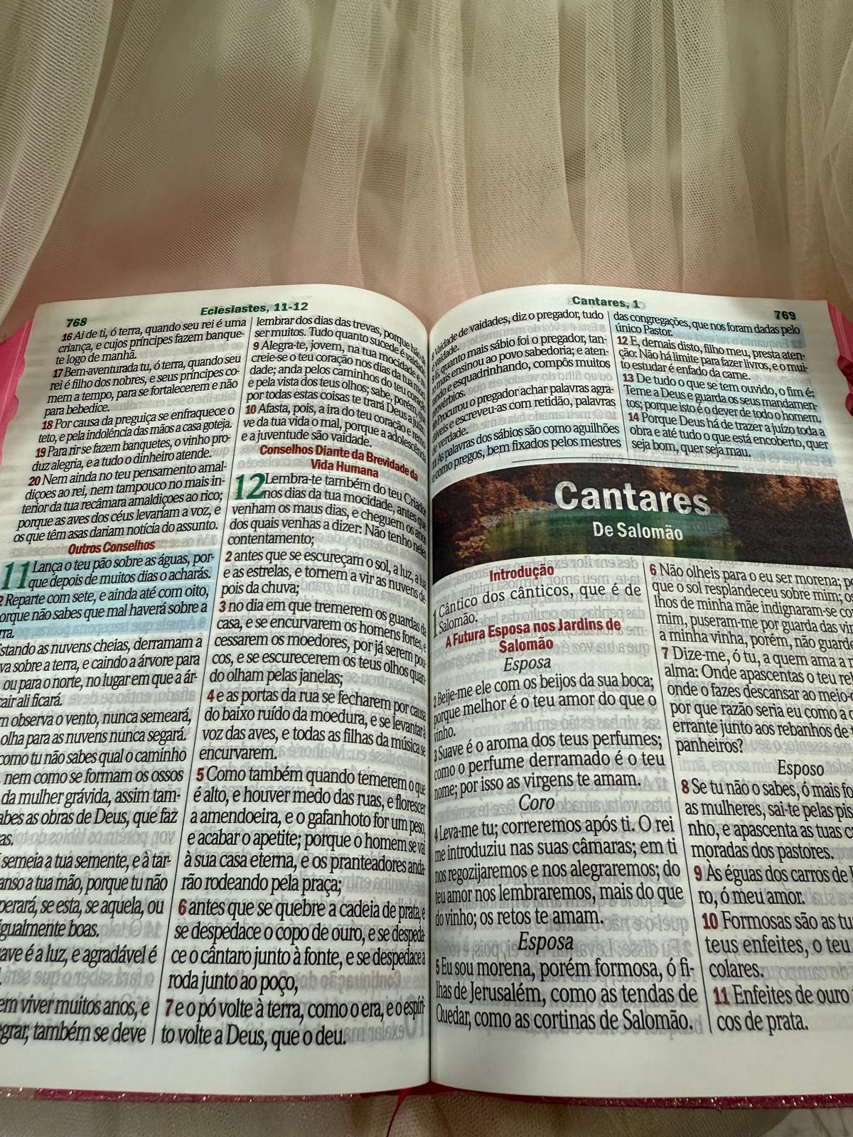 BIBLIA GLITTER SEJA FORTE E COROJOSA
