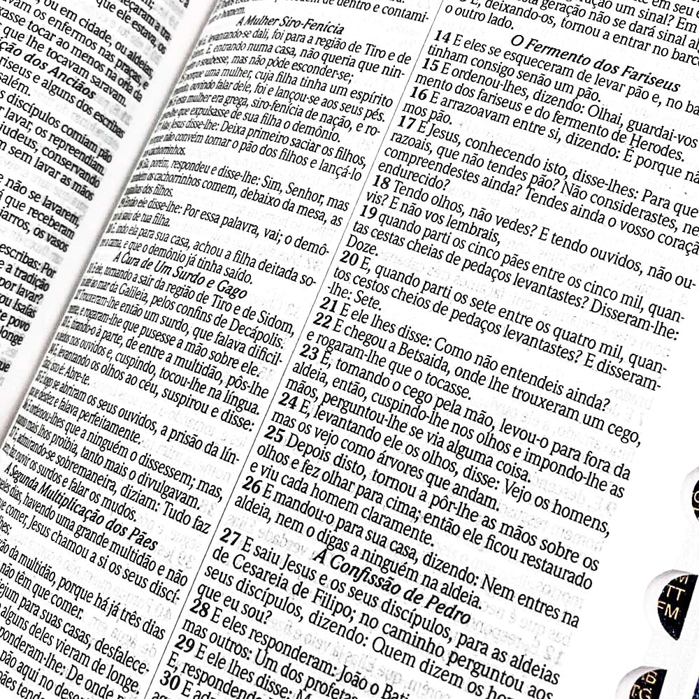 BIBLIA SAGRADA SLIM COM HARPA FECHO AZUL