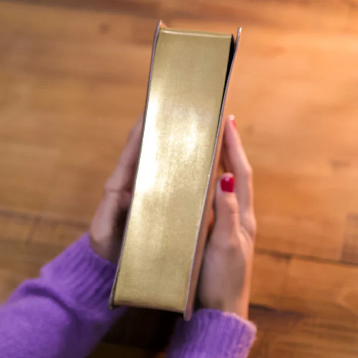 BÍBLIA COM ESPAÇO PARA ANOTAÇÕES | VIVIANE MARTINELLO | NAA | CAPA ACINZENTADA