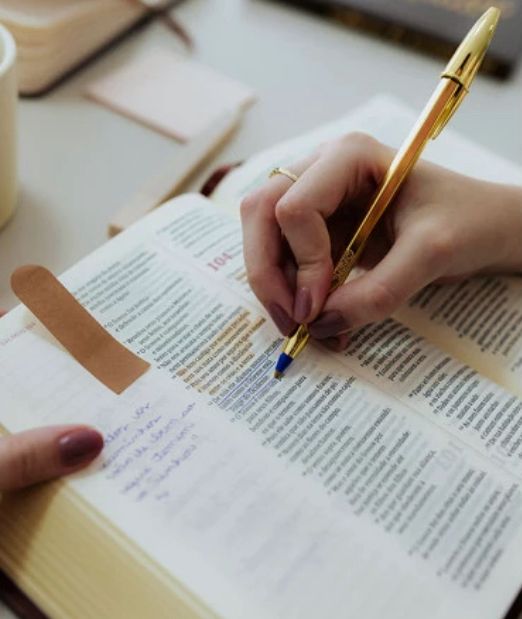 BÍBLIA COM ESPAÇO PARA ANOTAÇÕES | VIVIANE MARTINELLO | NAA | CAPA VINHO