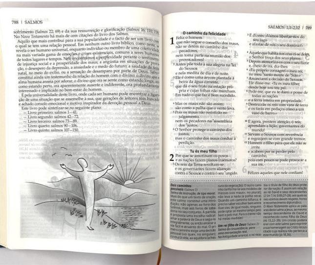 Bíblia Explicada Para Todos (BPTc 054C)