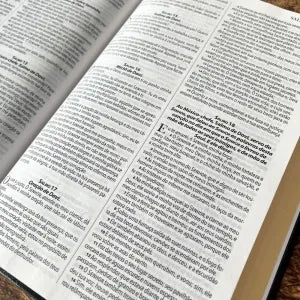 Bíblia King James 1611 Ultrafina Ampliada ( Duotone )