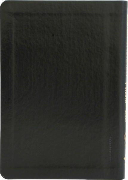 Slim Holy Bible with ARC Harp