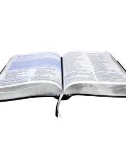 Bíblia de Estudo Discipulado (NA085BD)