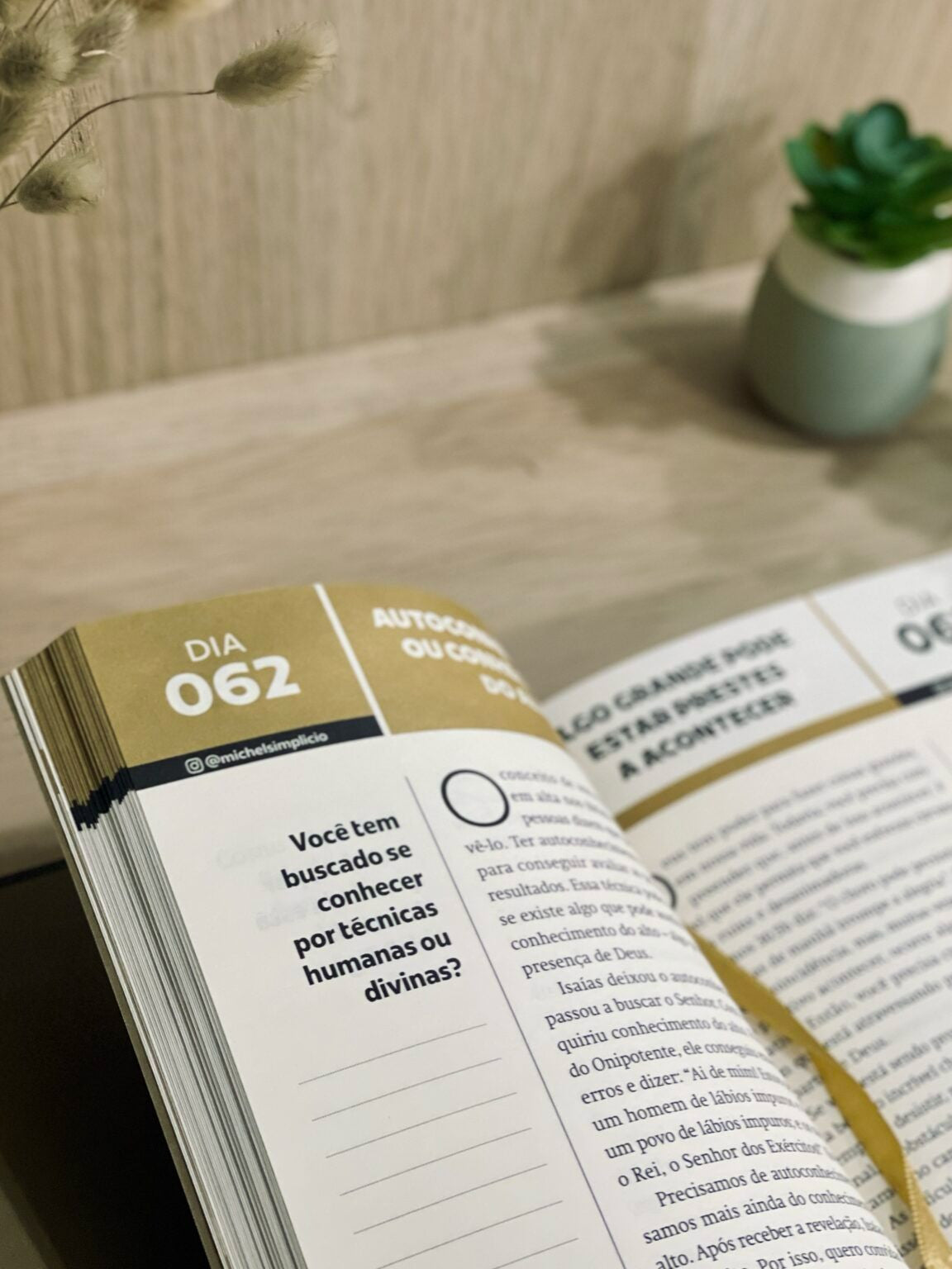 PRIORIZE DEUS 2025 | DEVOCIONAIS PARA 365 DIAS