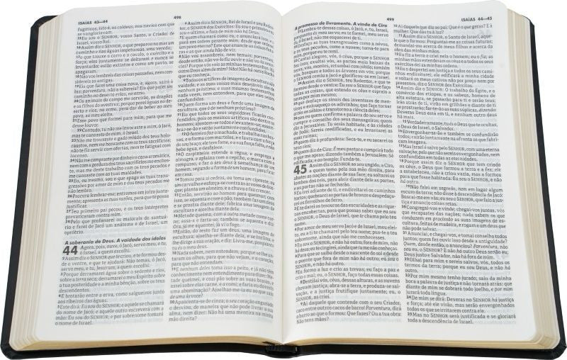Slim Holy Bible with ARC Harp