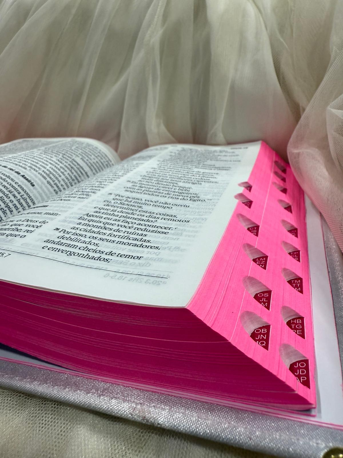 BIBLIA LEAO FORTE E CORAJOSA