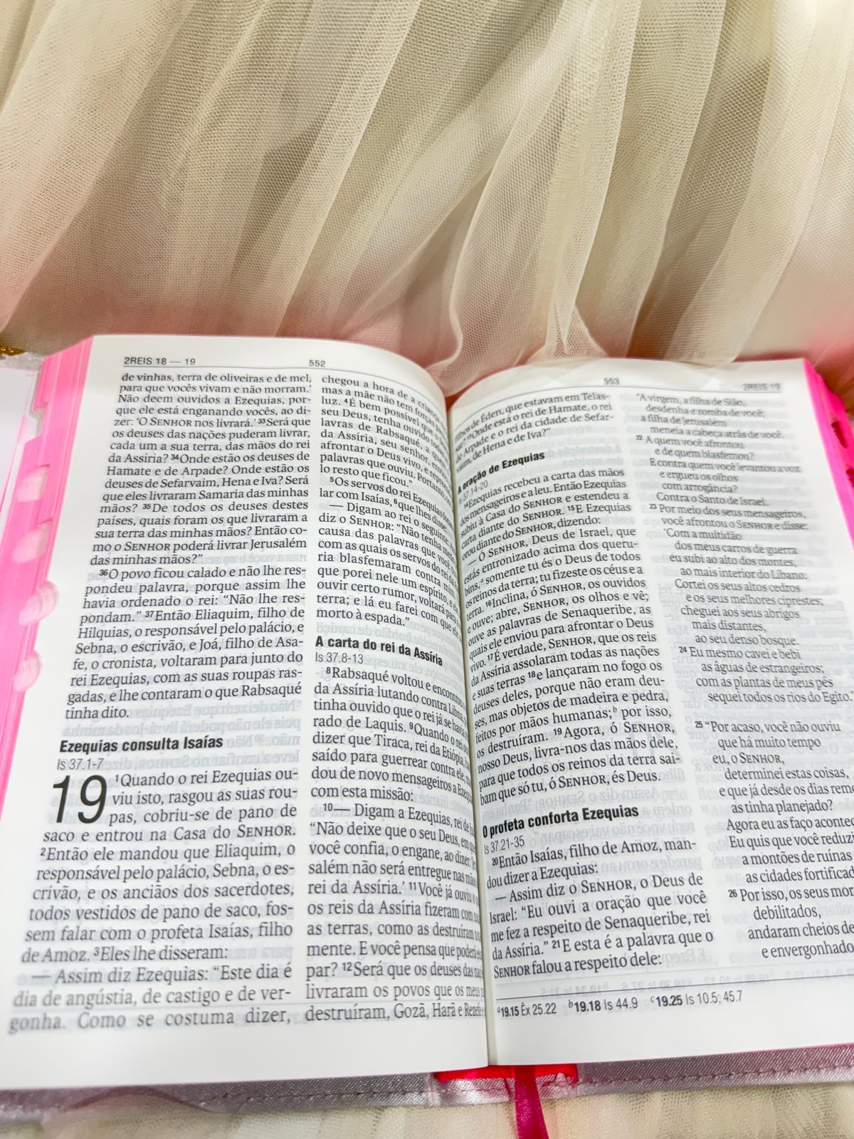 BIBLIA LEAO FORTE E CORAJOSA