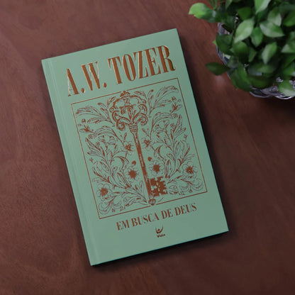 EM BUSCA DE DEUS | A. W. TOZER | CAPA DURA