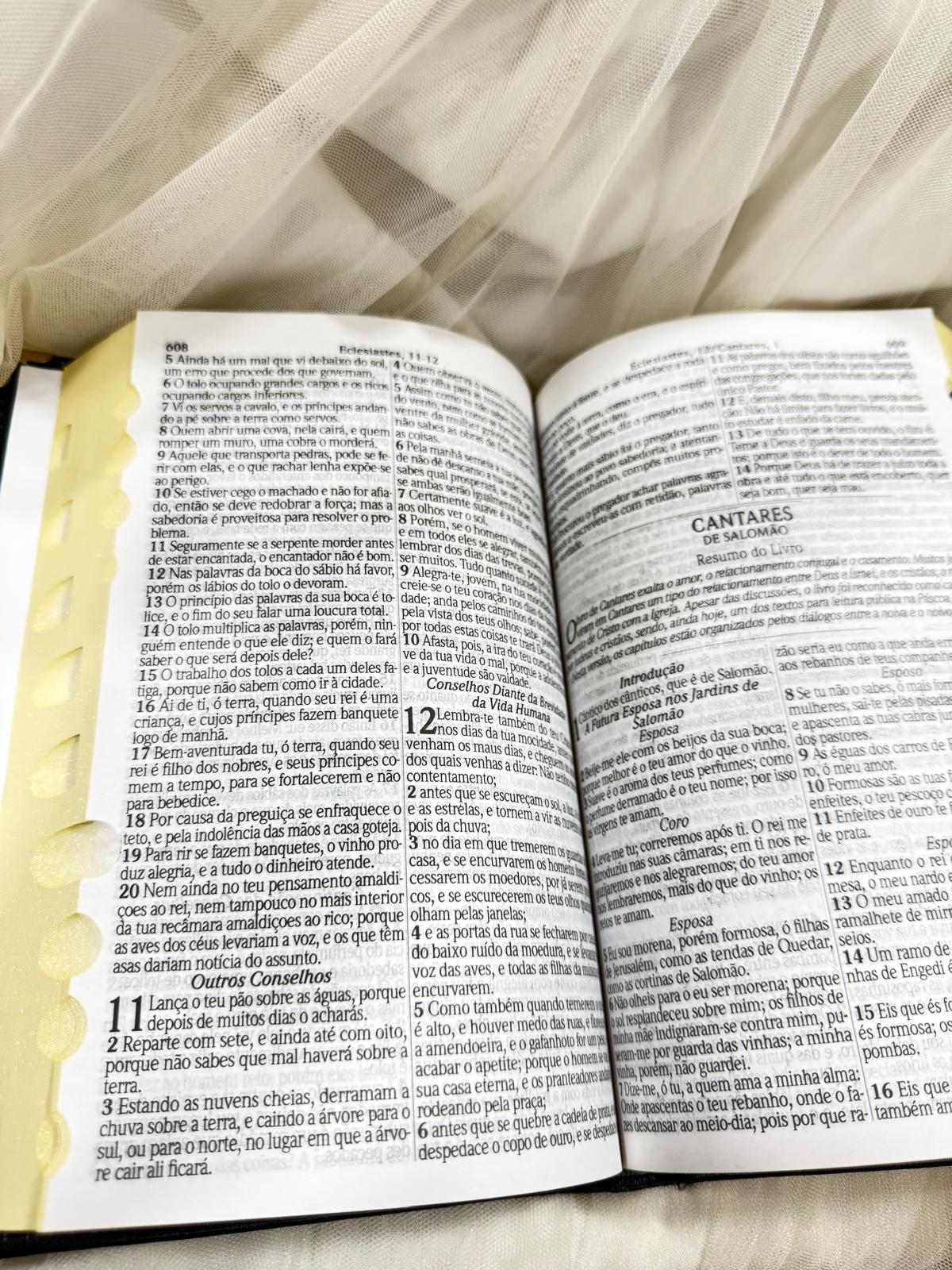 BIBLIA LEAO HORIZONTE