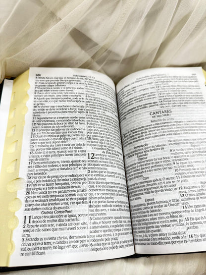 BIBLIA LEAO HORIZONTE