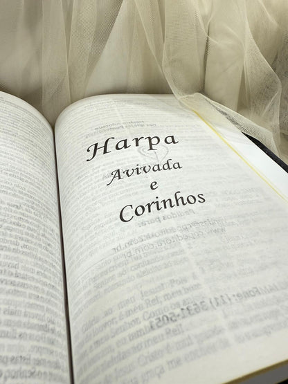 BIBLIA LEAO HORIZONTE