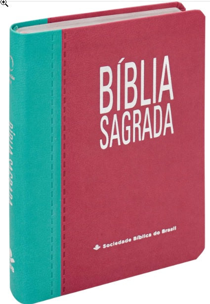 BÍBLIA SAGRADA ARA LETRA GRANDE — TURQUESA E ROSA
