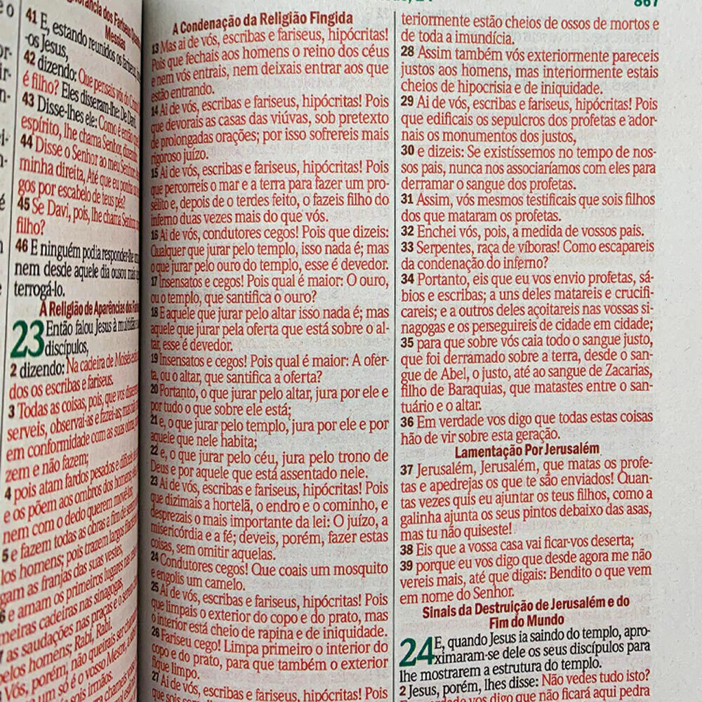 BIBLIA LEAO COM OLHOS EM CHAMAS