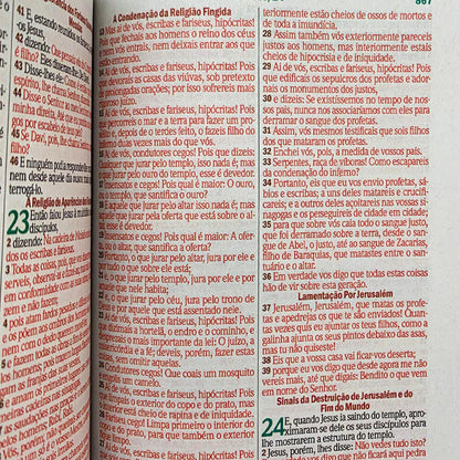 BIBLIA LEAO COM OLHOS EM CHAMAS