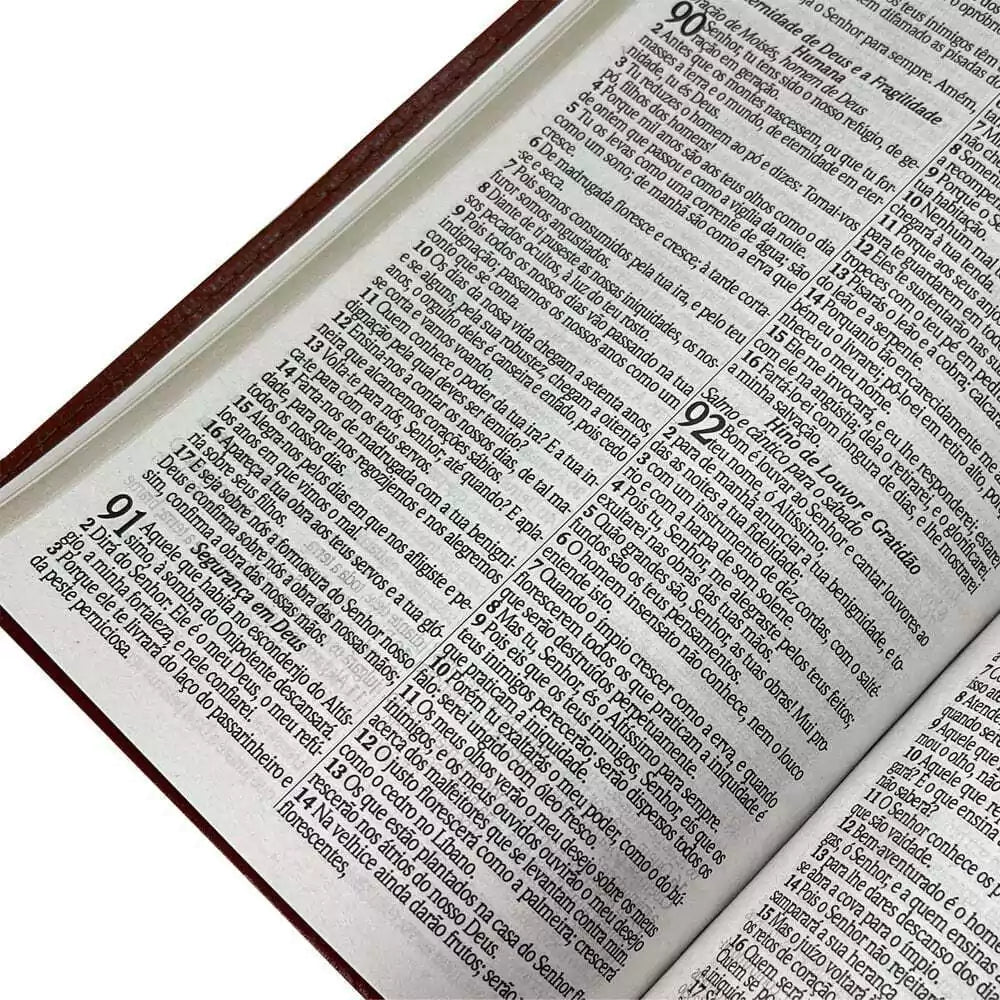 RC BIBLE GIANT LETTER HARP AND CHORUS LUXURY COVER PJV VENICE WHISTK BUILD