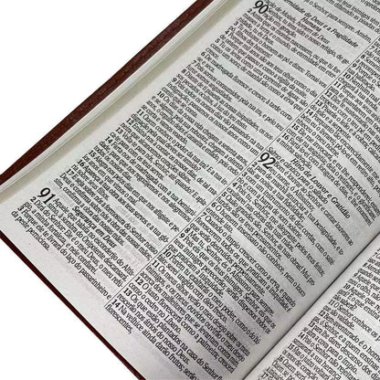 RC BIBLE GIANT LETTER HARP AND CHORUS LUXURY COVER PJV VENICE WHISTK BUILD