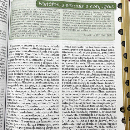 BÍBLIA DE ESTUDO DA MULHER DE DEUS LETRA GRANDE ROSA E PINK EDIFIQUE