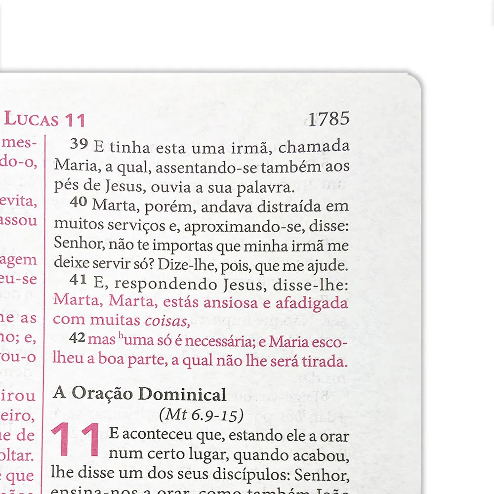 Pentecostal Study Bible Ed. Global - Wine