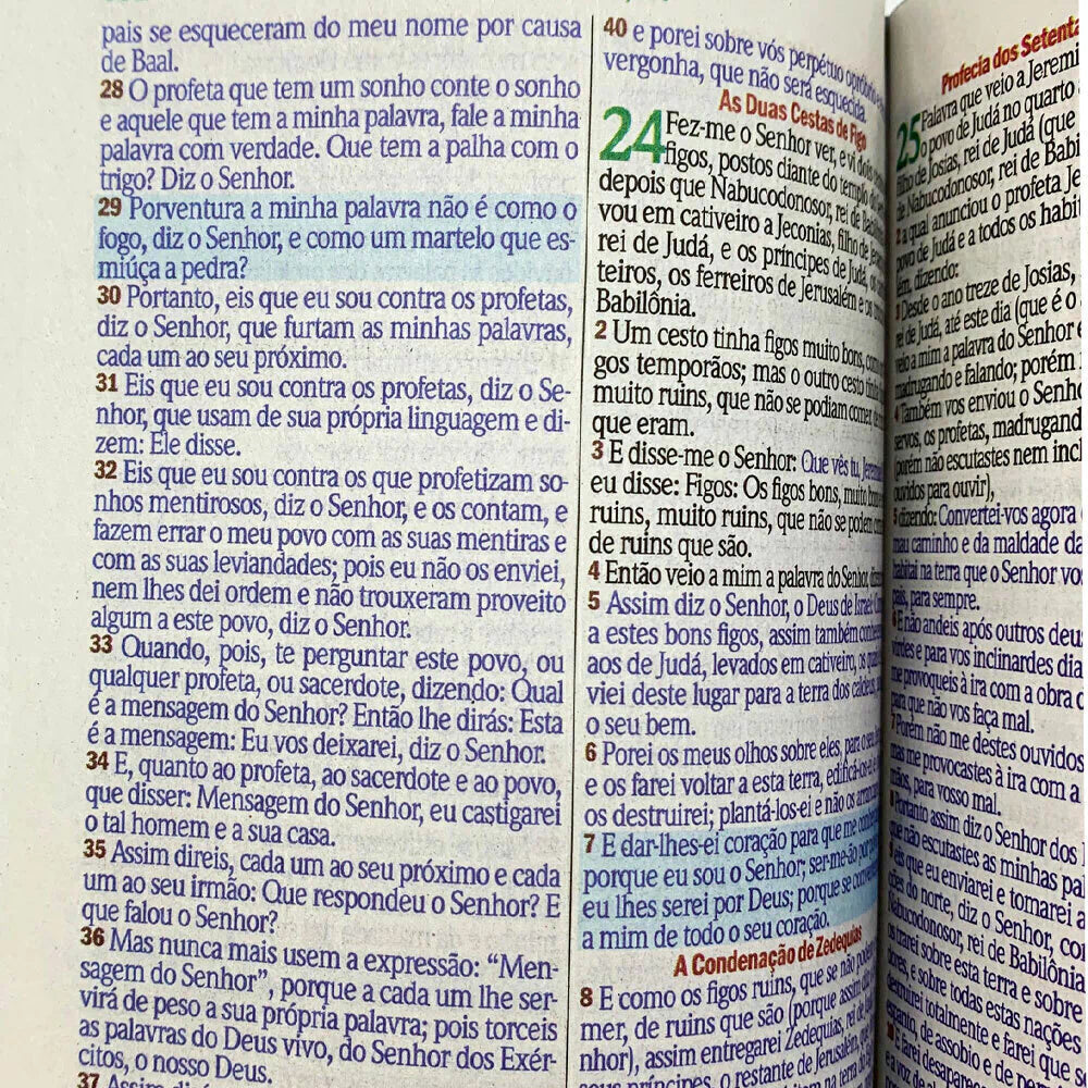 BIBLIA LEAO COM OLHOS EM CHAMAS