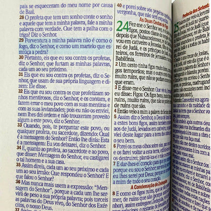 BIBLIA LEAO COM OLHOS EM CHAMAS